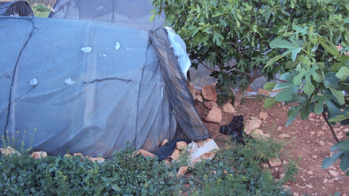 Korkuteli\'nde 29 Kök Hint Keneviri Ele Geçirildi