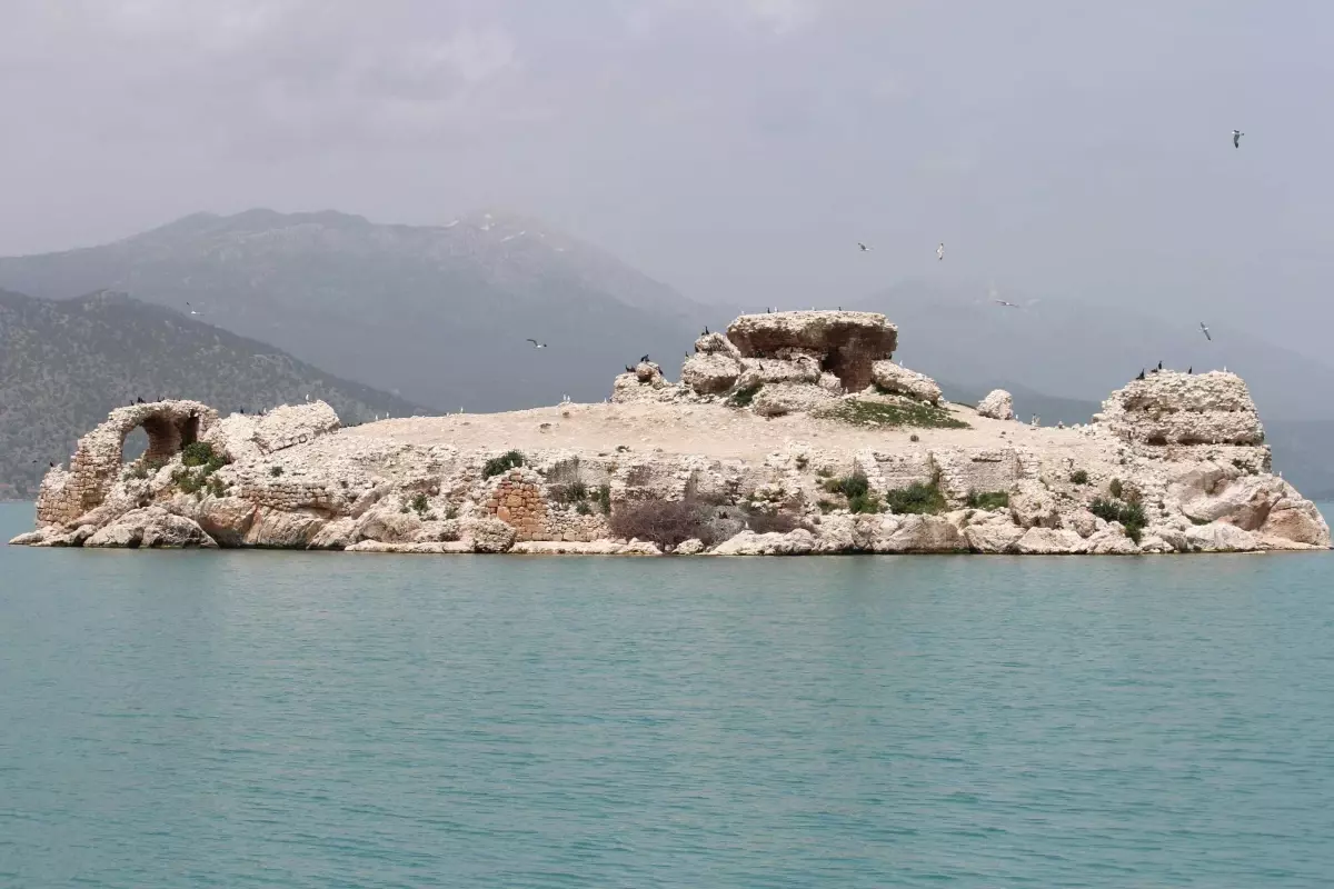 Beyşehir Gölü Adalarında Yavru Kuşlarla Renklendi