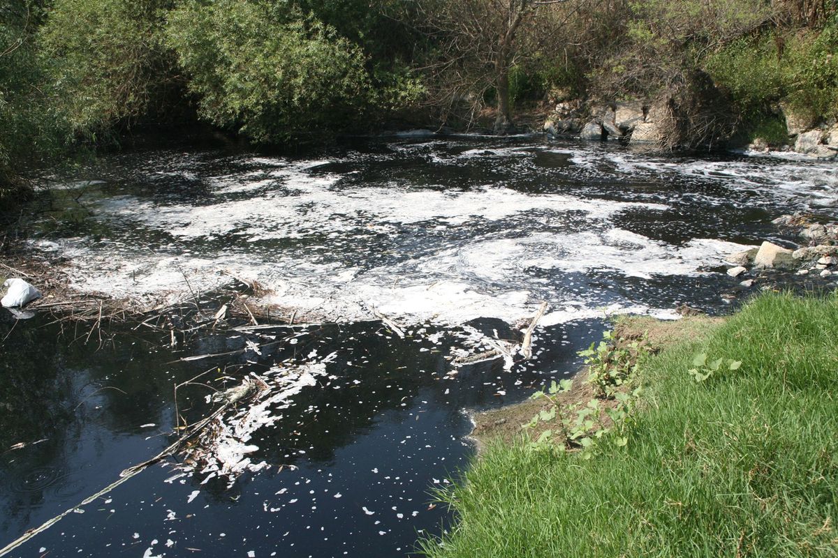 CHP\'den Küçük Menderes Nehri İçin Çevreci Eylem