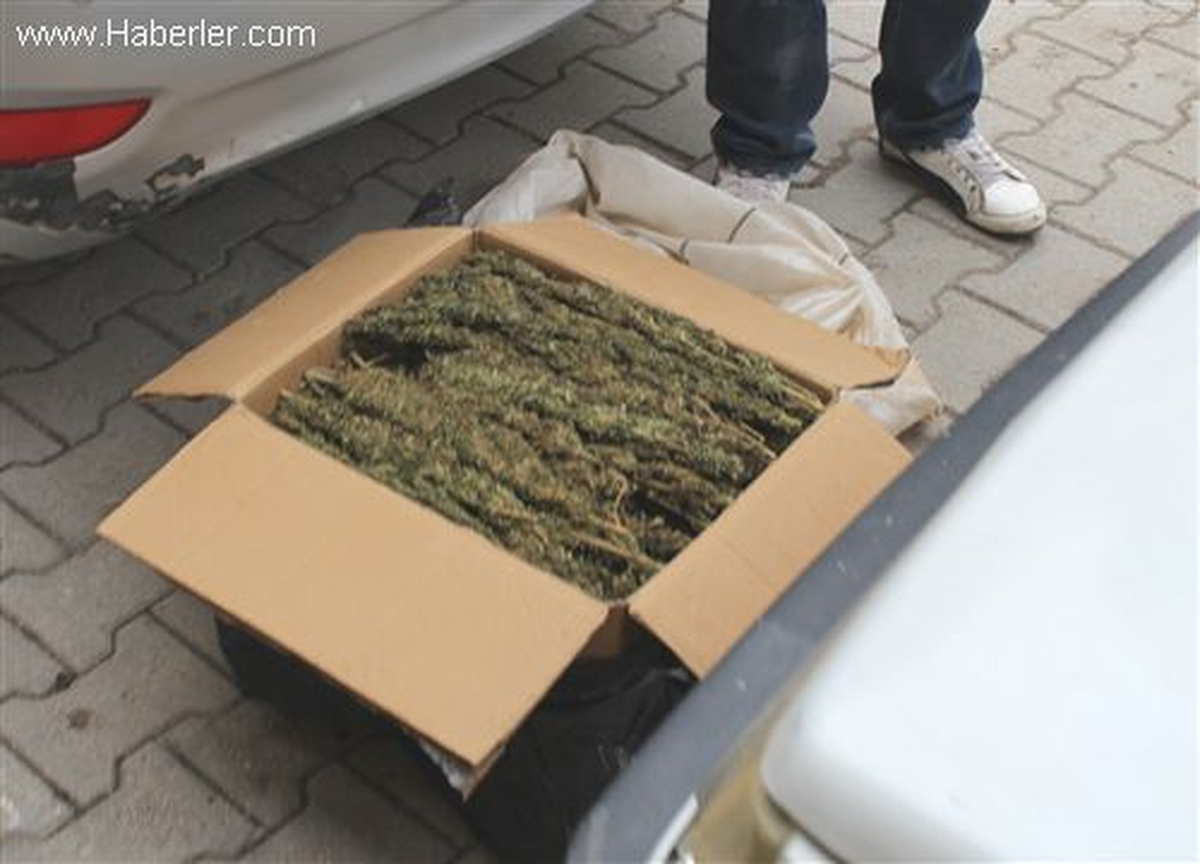 Dörtyol'da Uyuşturucu Şebekesi Çökertildi