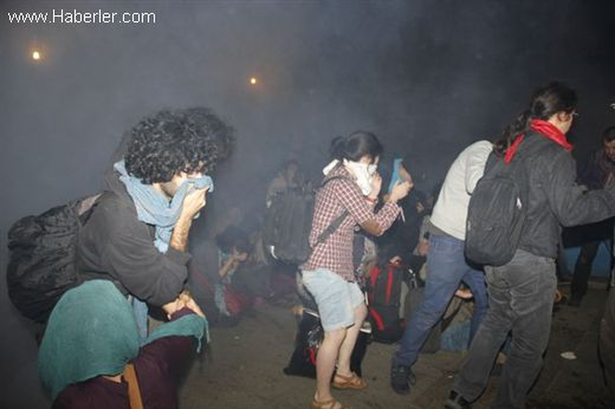 Eylemciler Tekrar Gezi Parkına Girdi