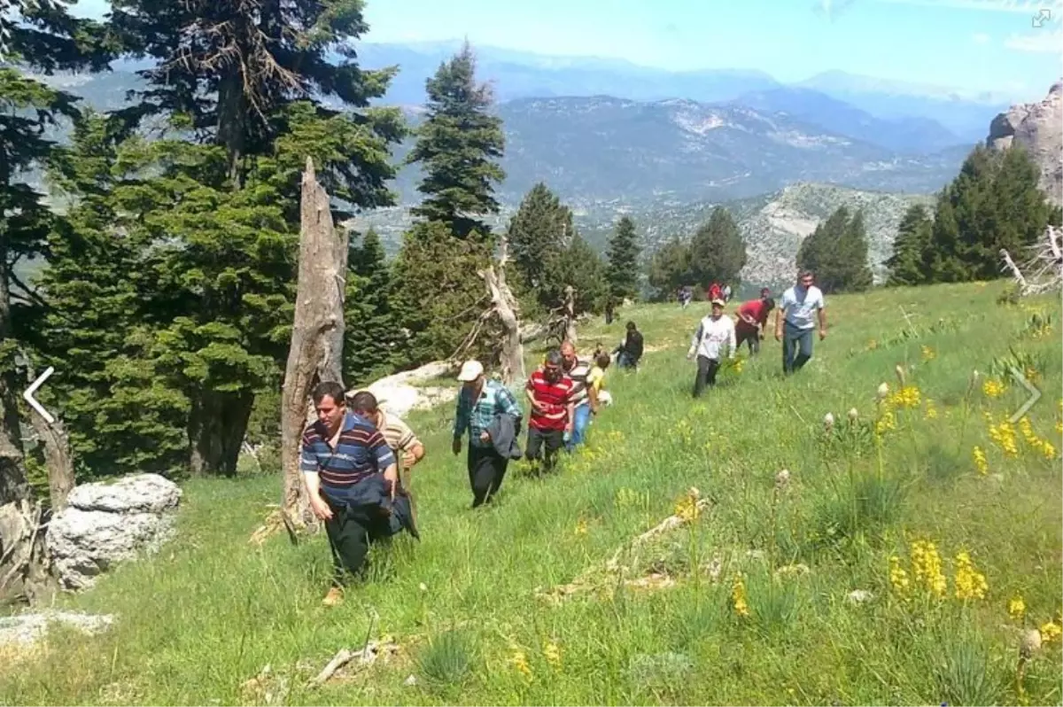 Tapanlılar Kültür Yürüyüşü Düzenledi