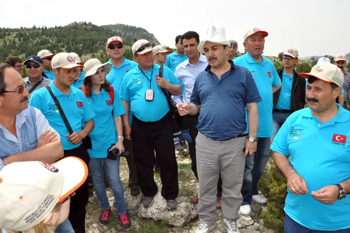 Türkiye Ormancılıkta Dünyayı Eğitiyor