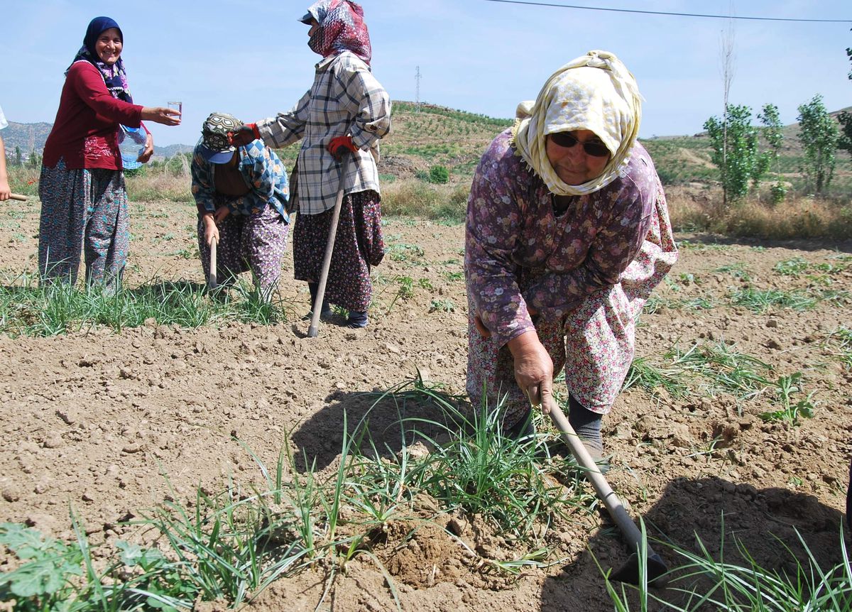 Beyhan Nine Sağlığını Çapasına Borçlu Olduğunu Söyledi