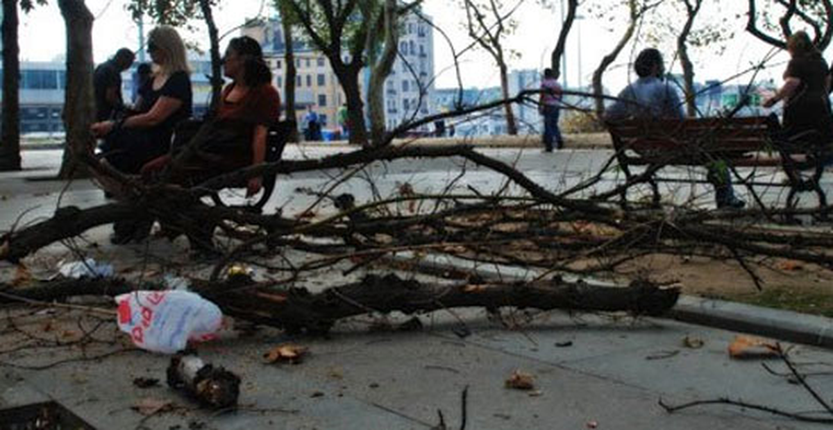 Çevreciler Gezi Parkı\'na Destek İçin Yola Çıkıyor