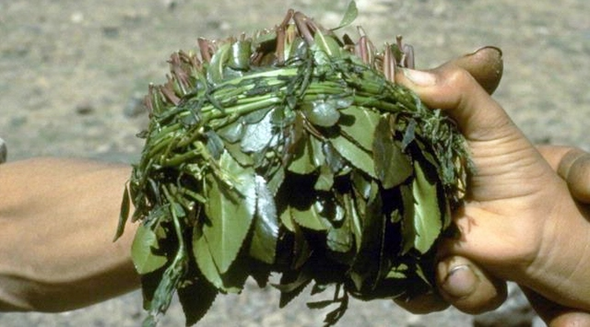 Yemen'de Gat'sız Düğün