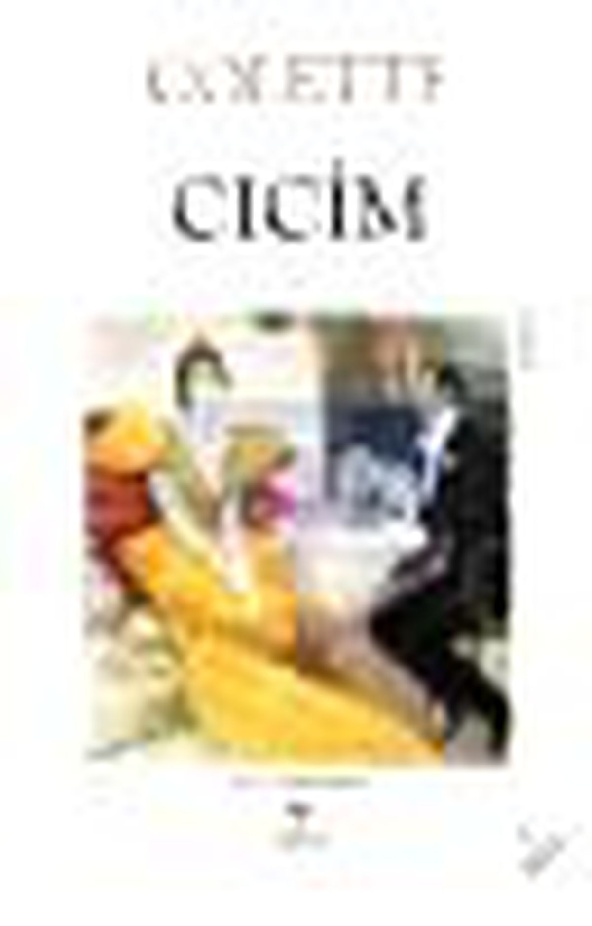 Cicim Kitabı