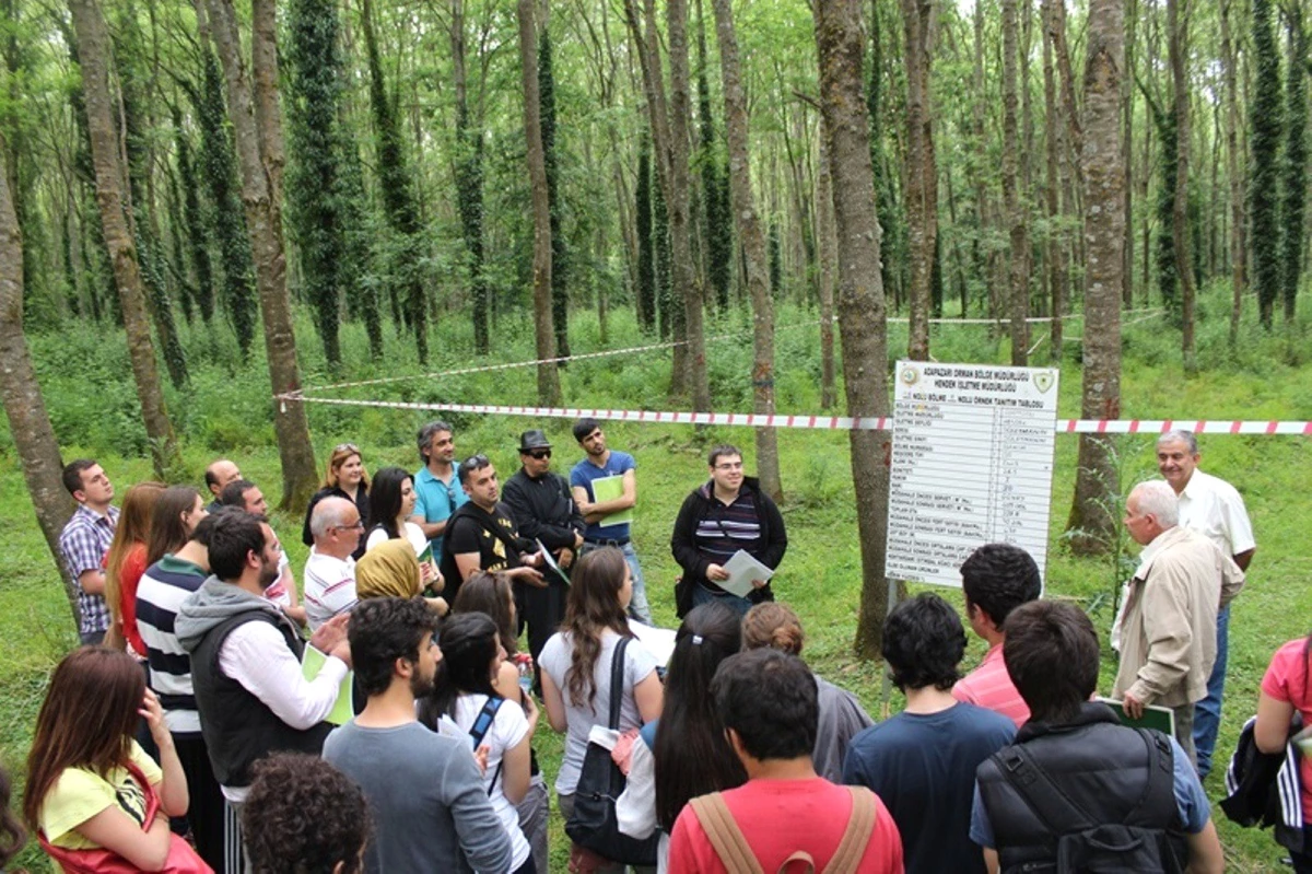 İTÜ Orman Fakültesi Öğrencileri Hendek Orman İşletmesinde İncelemelerde Bulundu