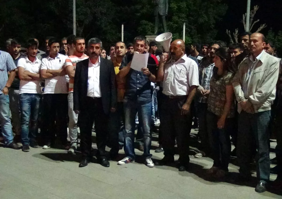 Şırnak\'ta Kurulması Planlanan Termik Santral Protesto Edildi