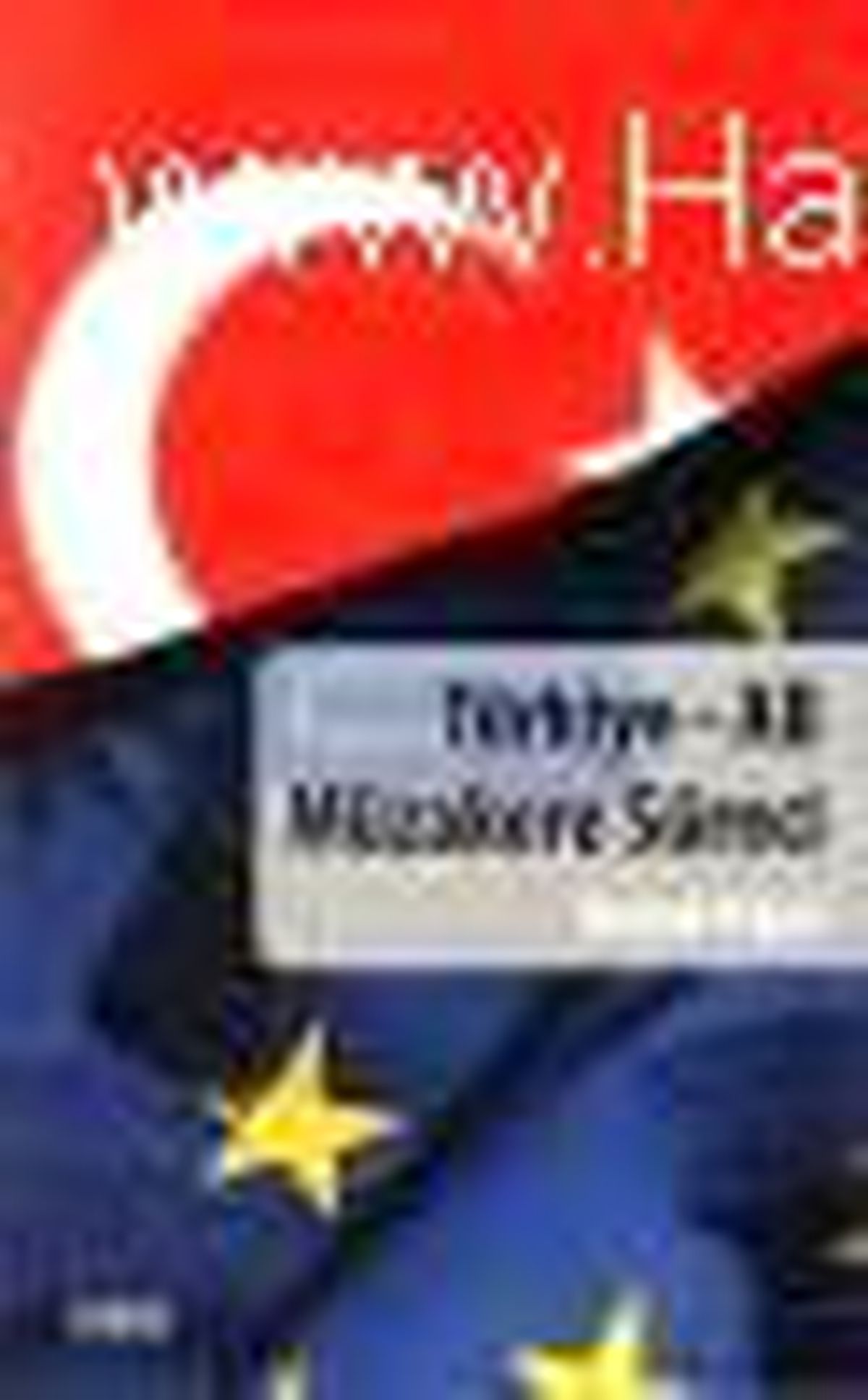 Türkiye - AB Müzakere Süreci Kitabı