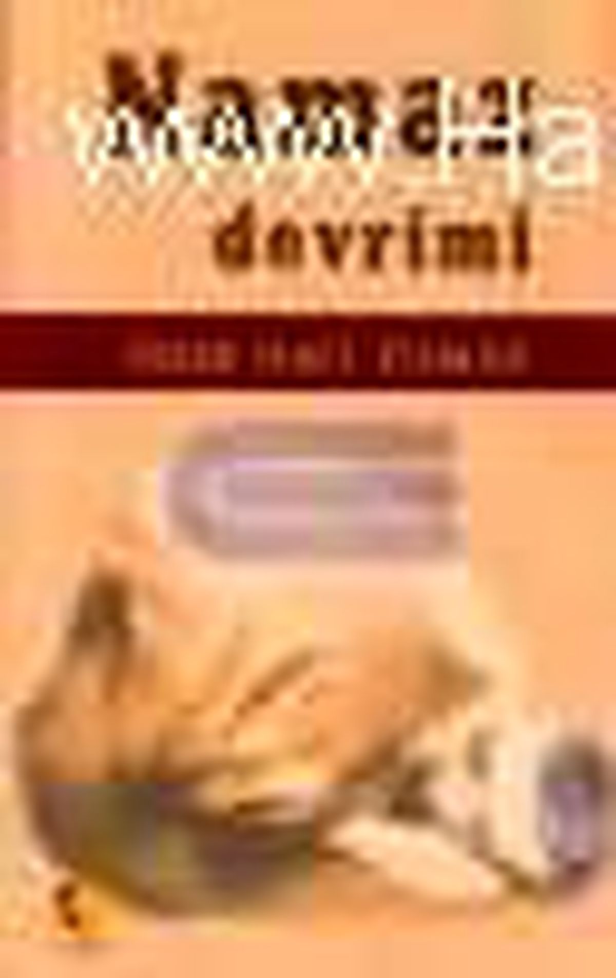 Namaz Devrimi Kitabı