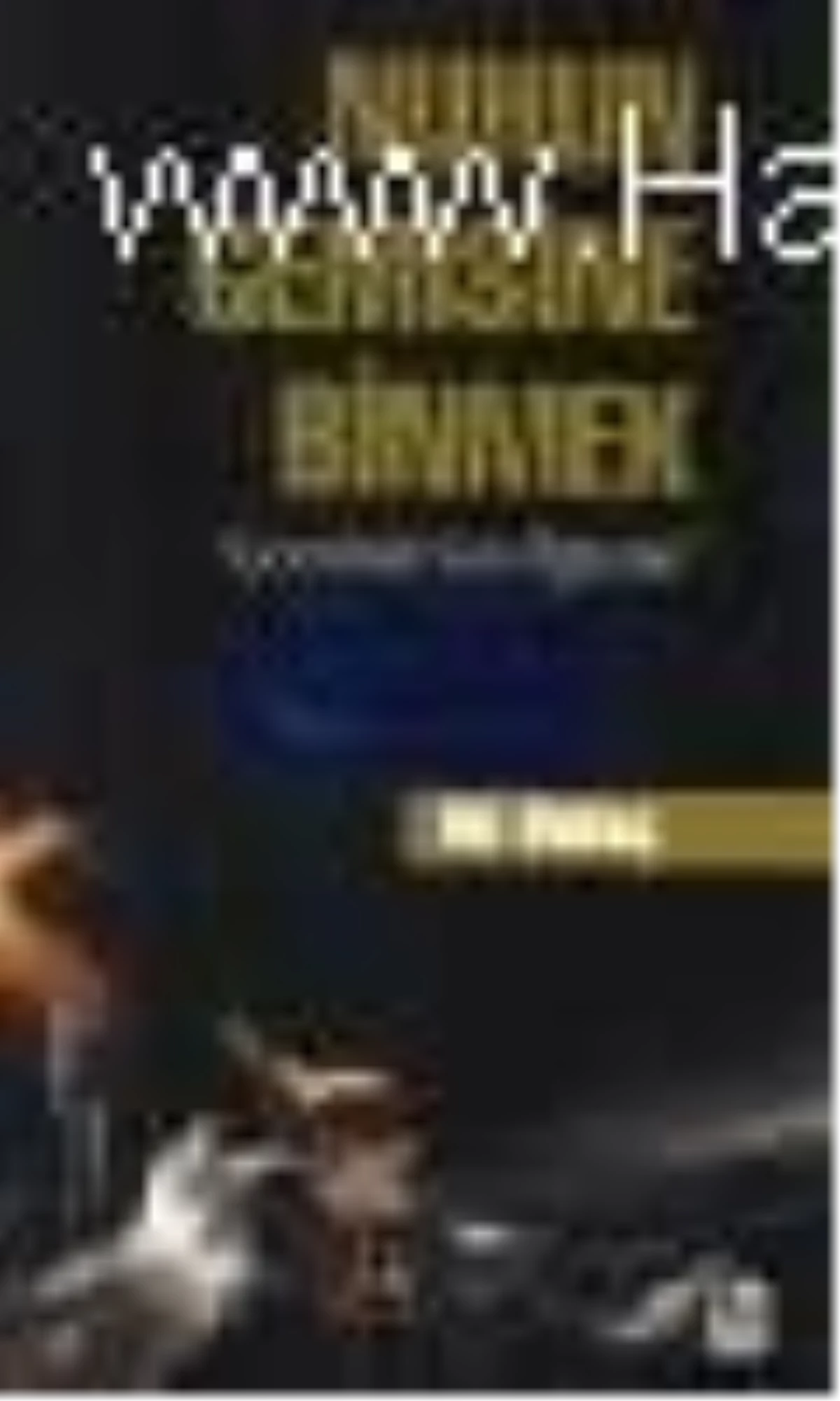 Nuhun Gemisine Binmek Kitabı