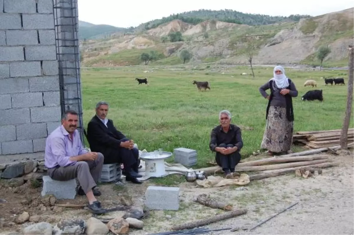 Şenyayla,Çözüm Sürecinde Şenlendi