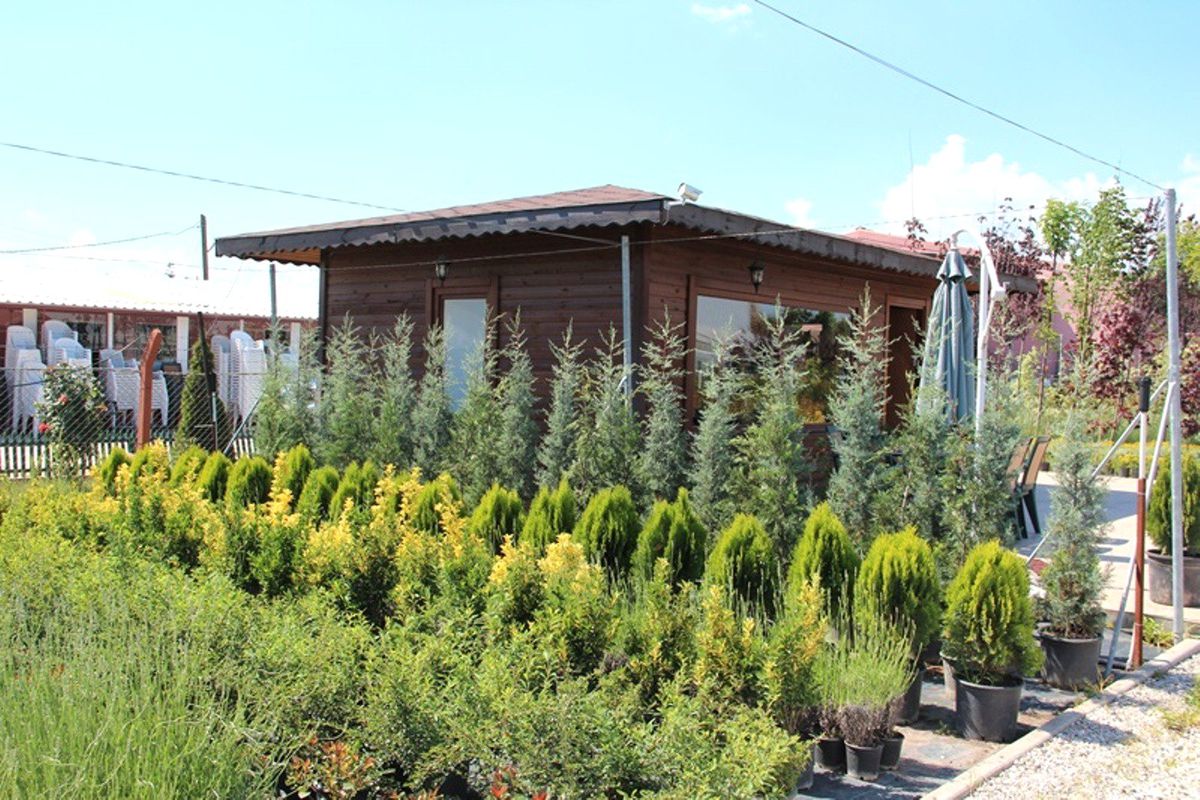 Bölge Müdürü Türkyılmaz Fidan Üreticilerini Ziyaret Etti