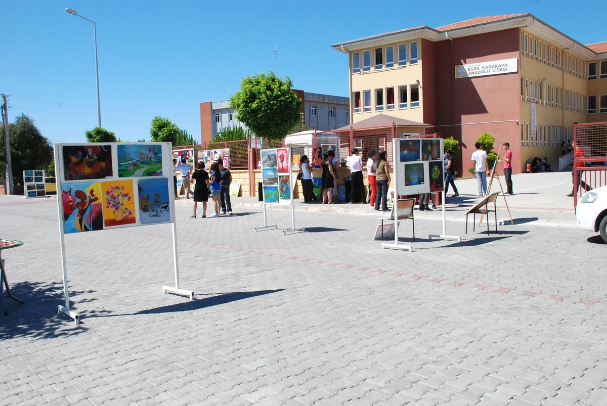 Didim Esra Karakaya Lisesi'nden Sokak Sergisi