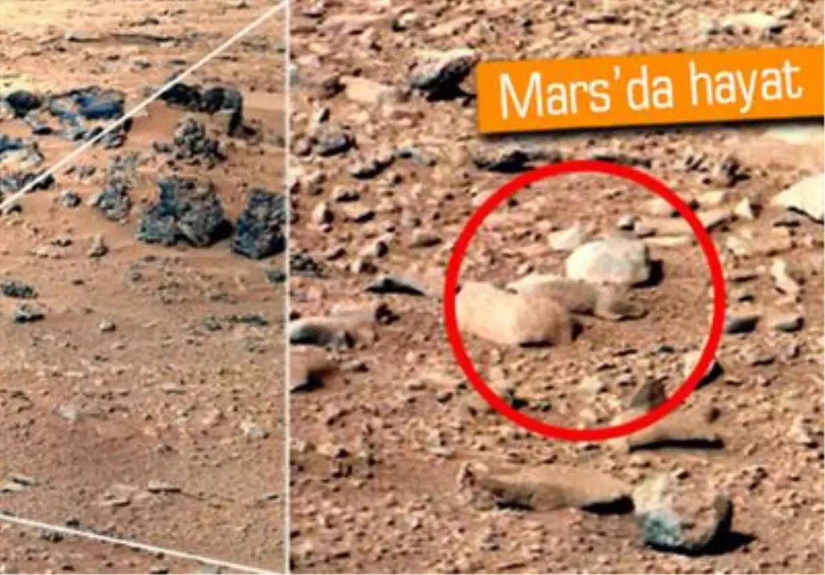 Mars\'ta Canlı Dedikodusu