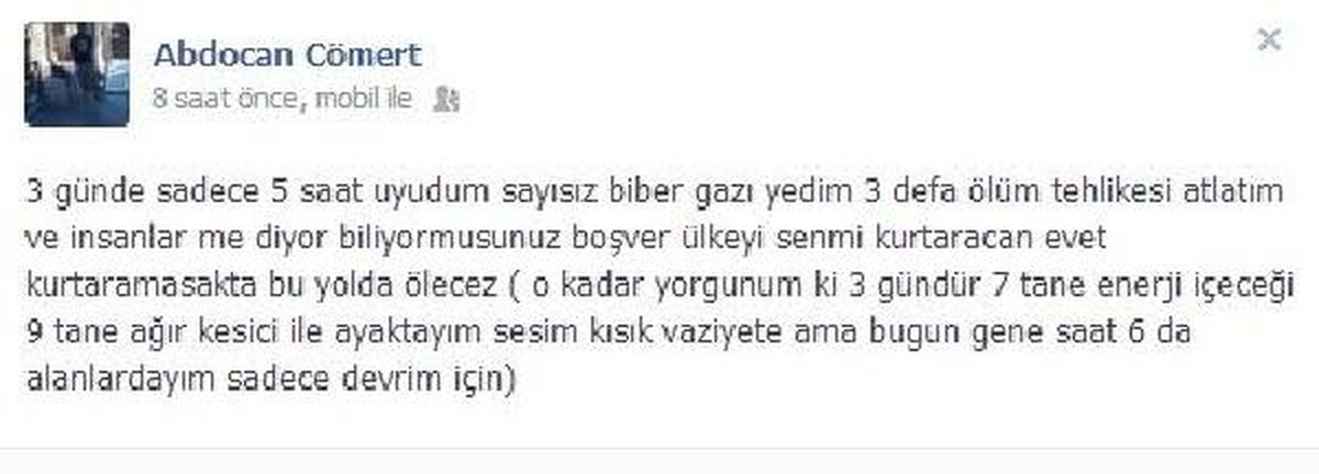 Mersin ve Hatay\'daki Gösterilerde 110 Gözaltı (4)