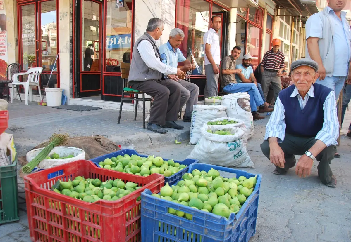 Aydın\'da Sinek Pazarı Kuruldu