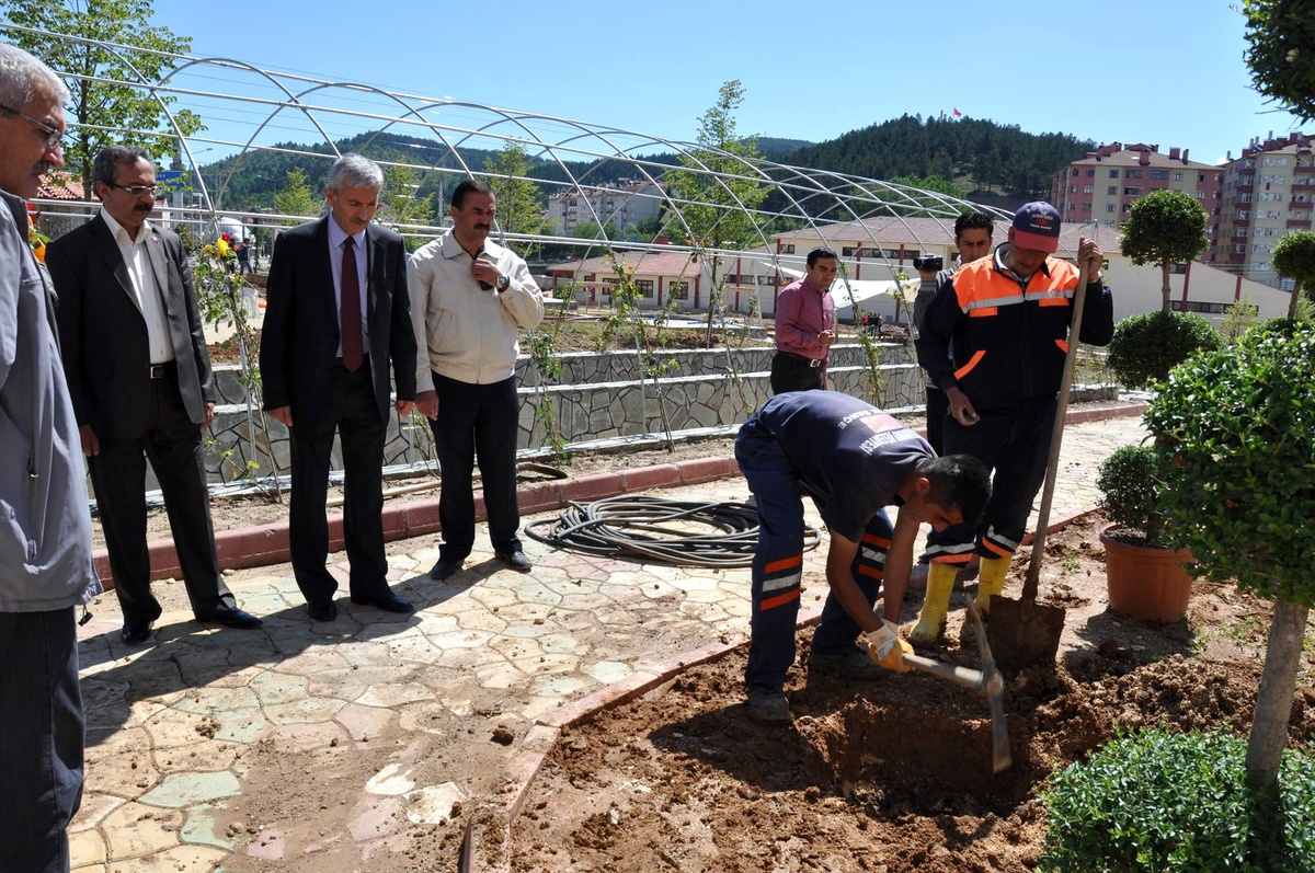 İstiklal Yolu Parkı\'nda Ağaçlandırma Çalışması Başladı