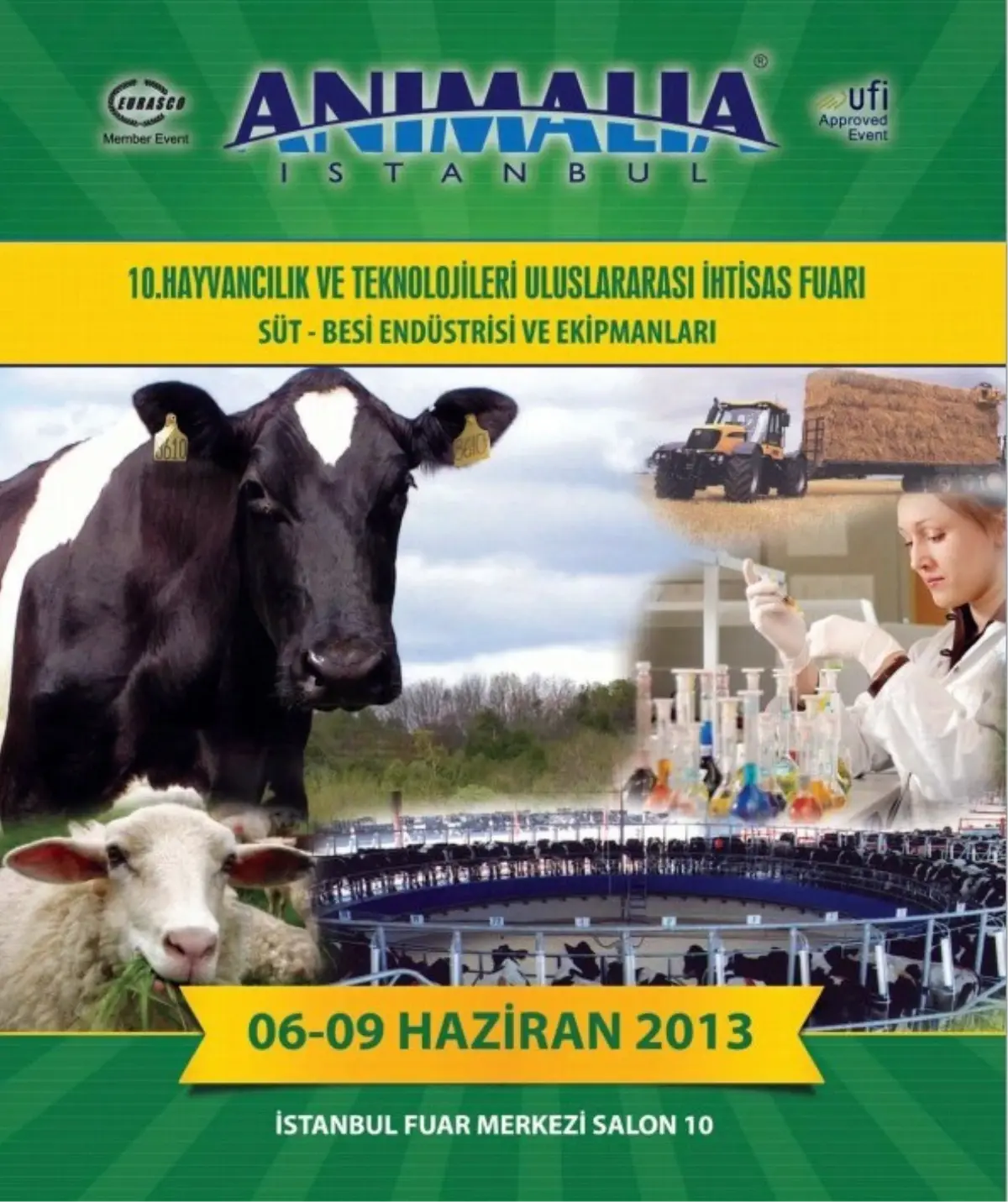 İzmir\'den İstanbul\'a Animalia Çıkartması