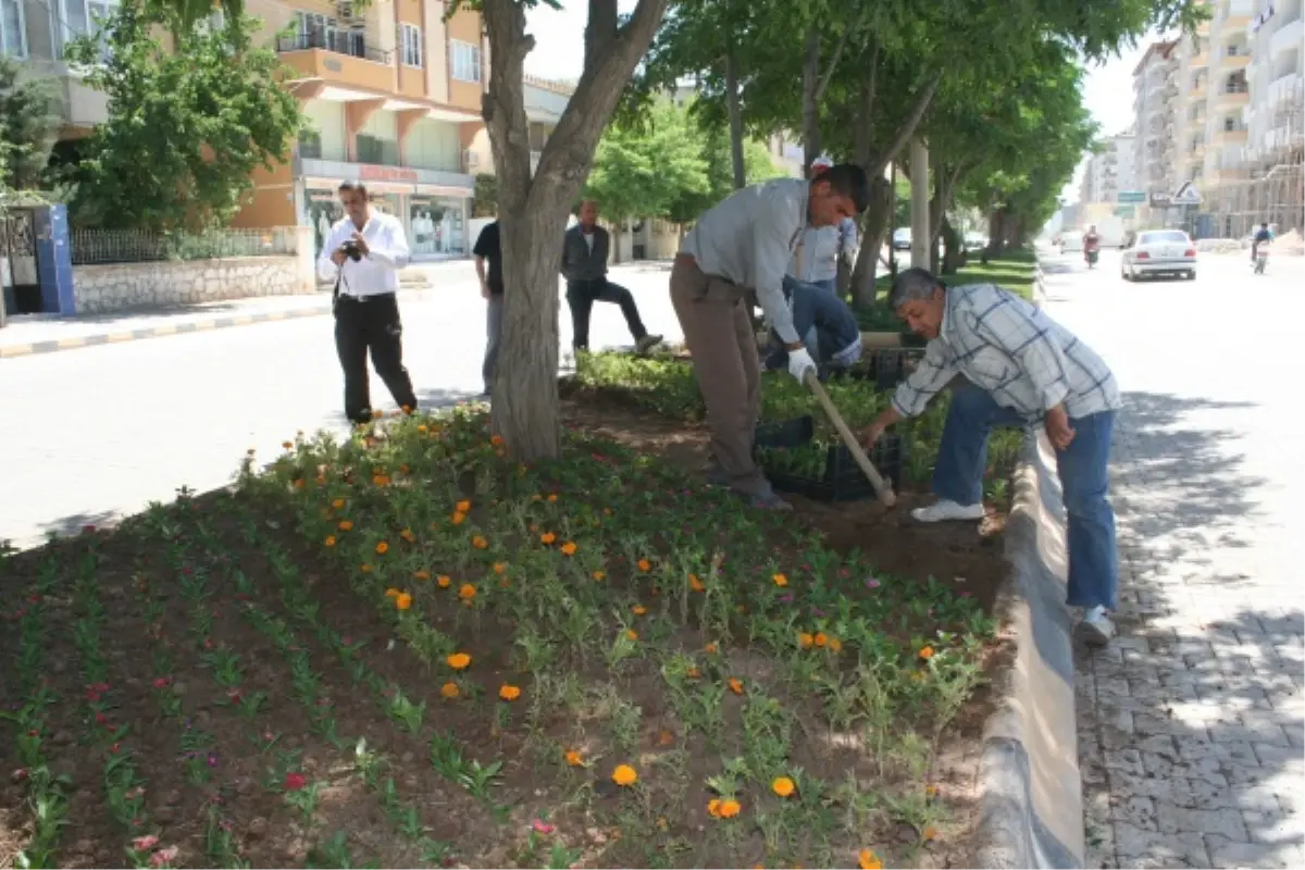 Kilis\'in Rengi Değişiyor