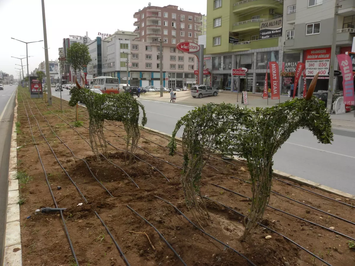 Mezitli\'de Refüj ve Kavşak Çalışmaları