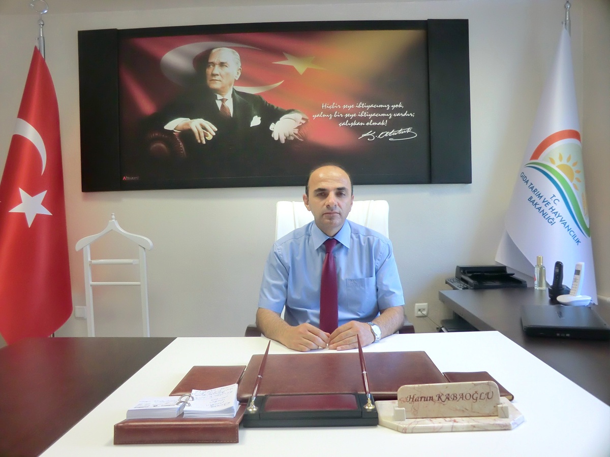 Fındık Alan Bazlı Gelir Desteği Çalışmaları Tamamlandı