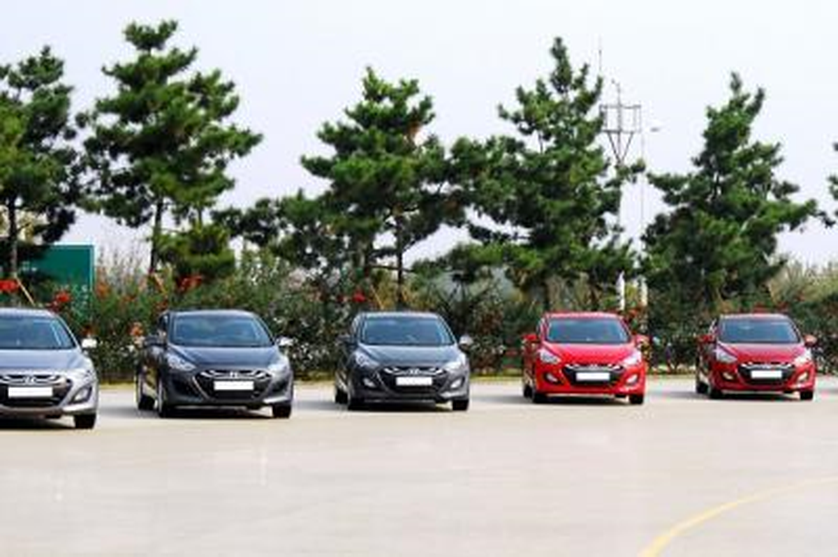 Hyundai Çevre Gününü Bütün Bir Yıl Kutlayacak