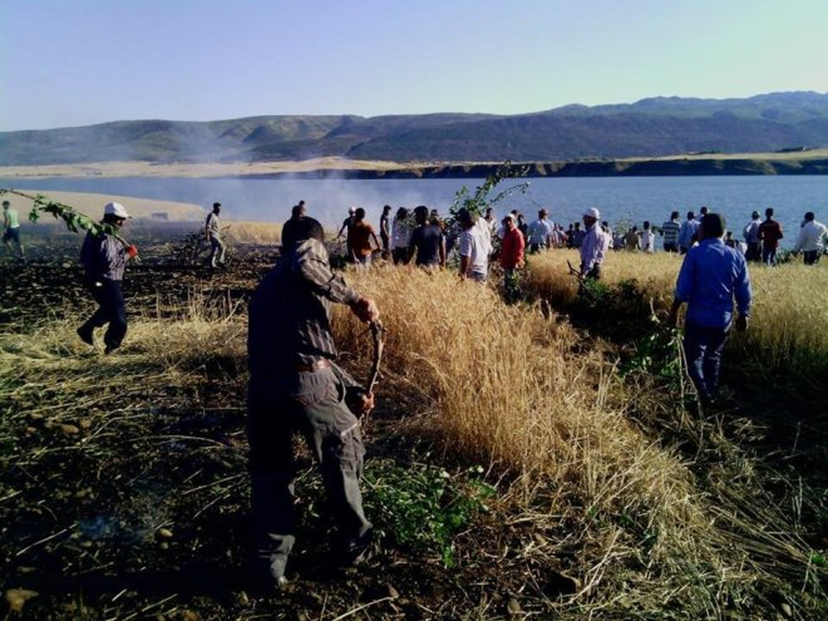 Kulp\'ta 150 Dönümlük Buğday Tarlası Kül Oldu