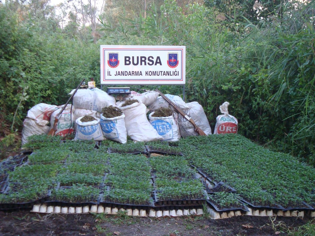 Tavan Arasındaki Esrarı "Varis" Buldu
