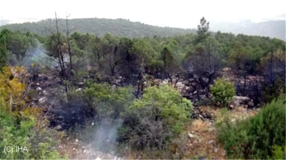 Yıldırımlar 3 Noktada Orman Yangınına Neden Oldu