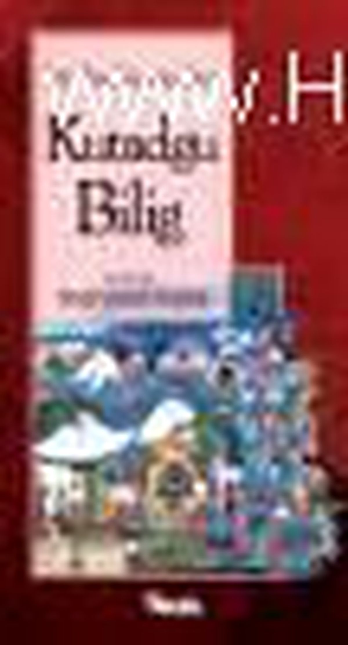 Bir Başka Açıdan Kutadgu Bilig Kitabı