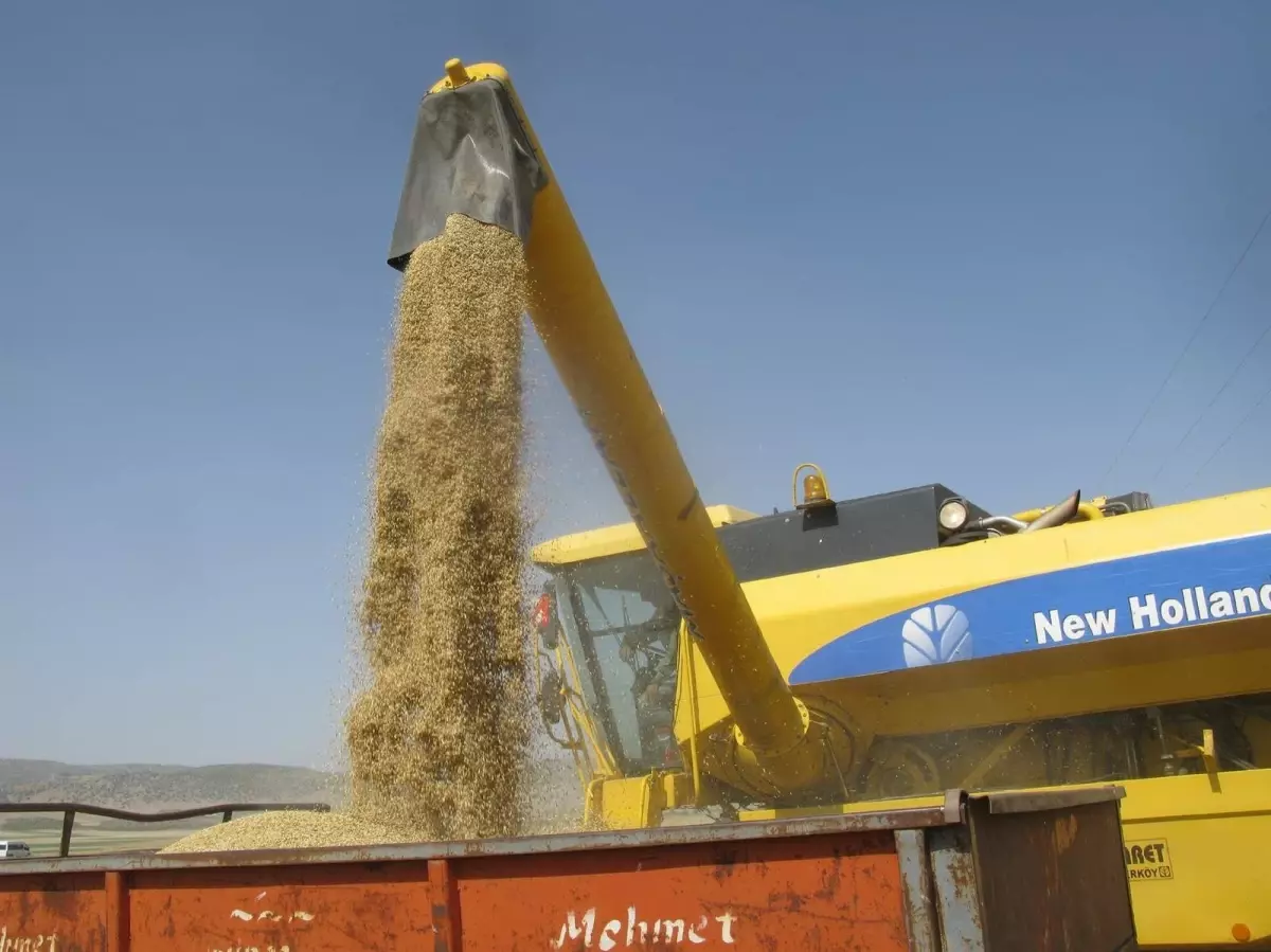 Hububat Müdahale Alım Fiyatlarının Açıklanması