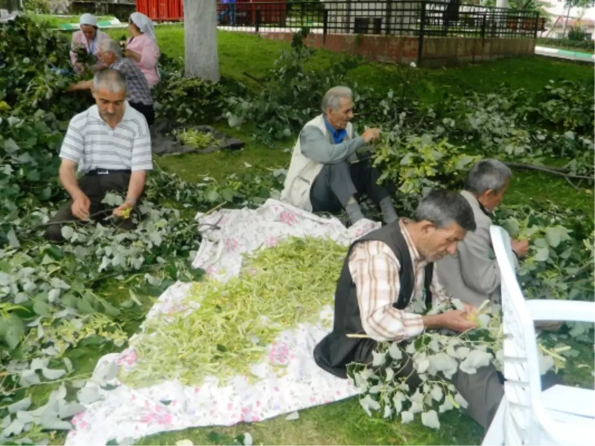 Huzurevinde Ihlamur Seferberliği