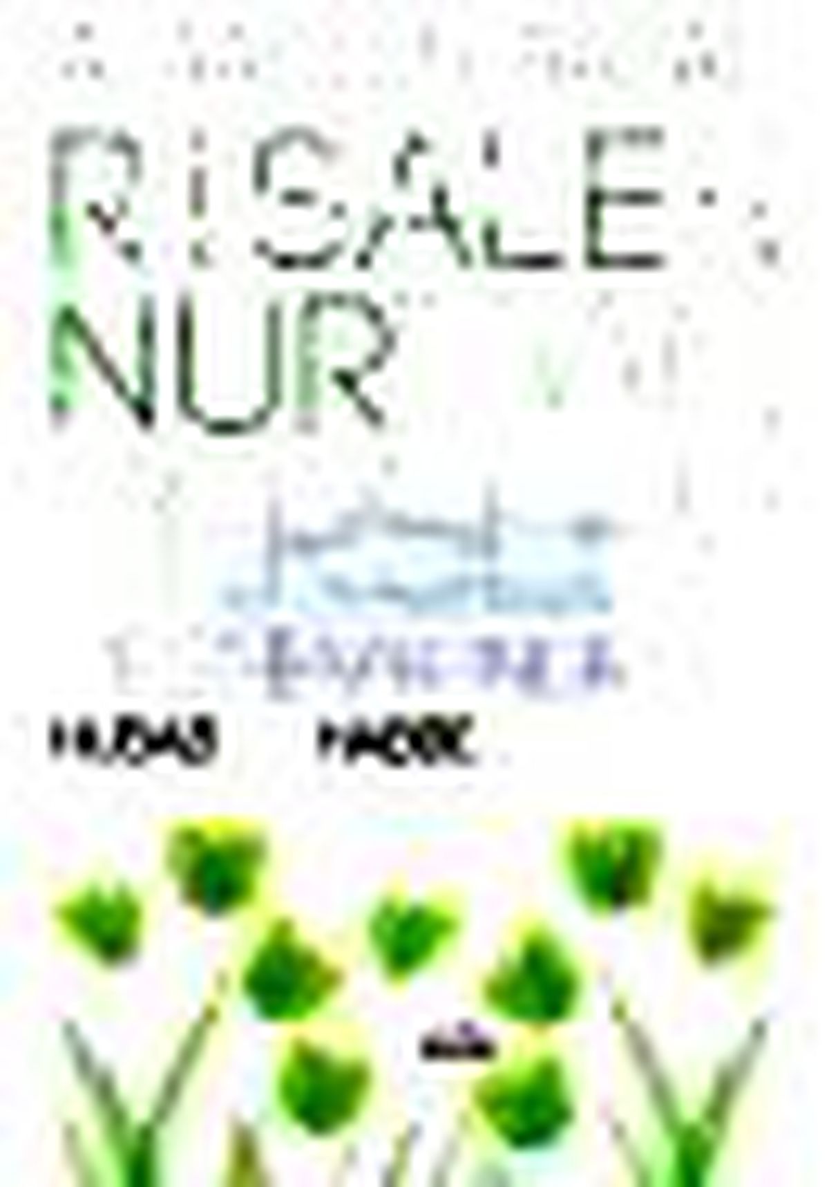 Risale-i Nur\'dan Dersler Kitabı