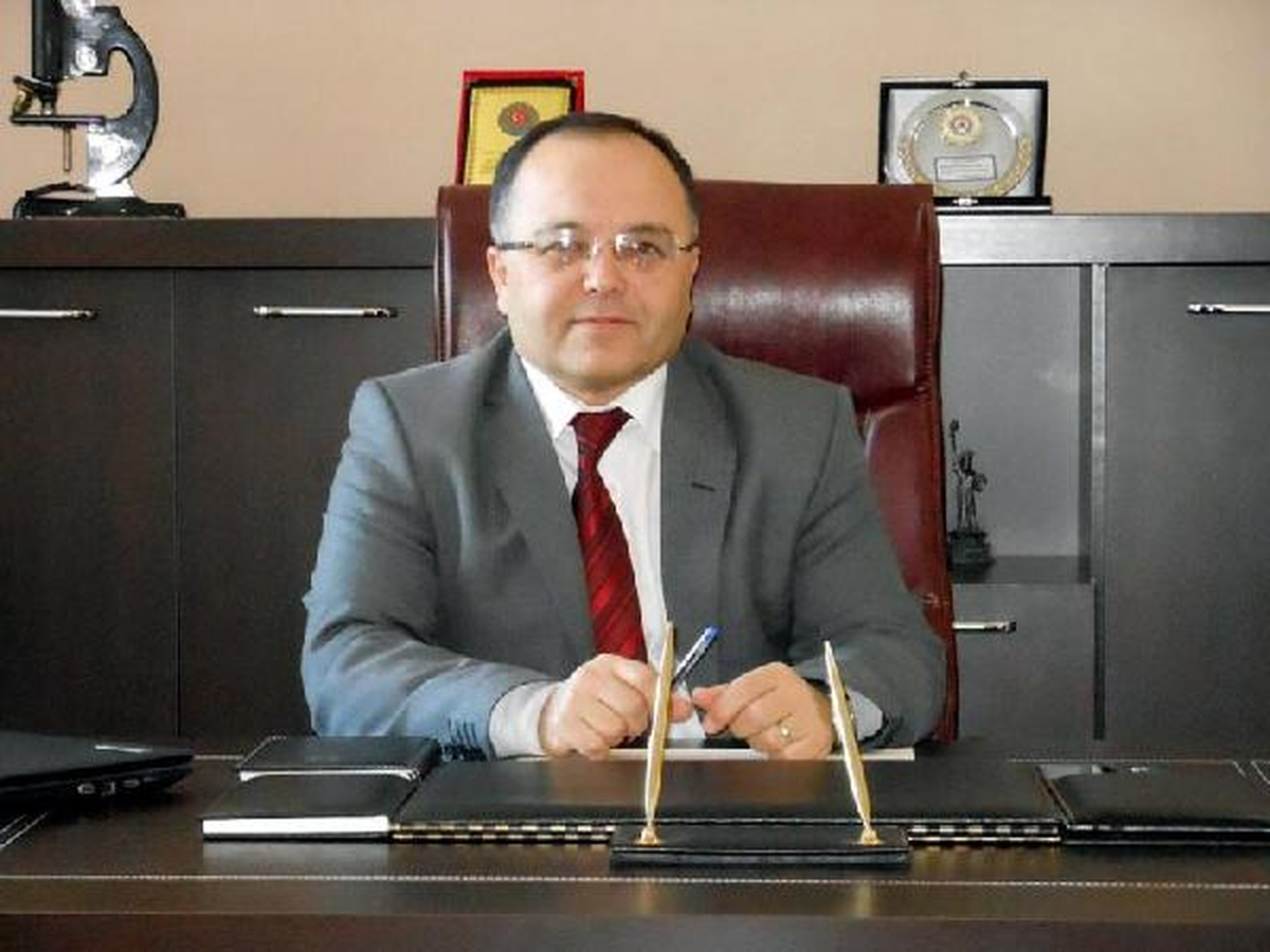 Kedi Muhtarı Isırdı, Köy Karantinaya Alındı