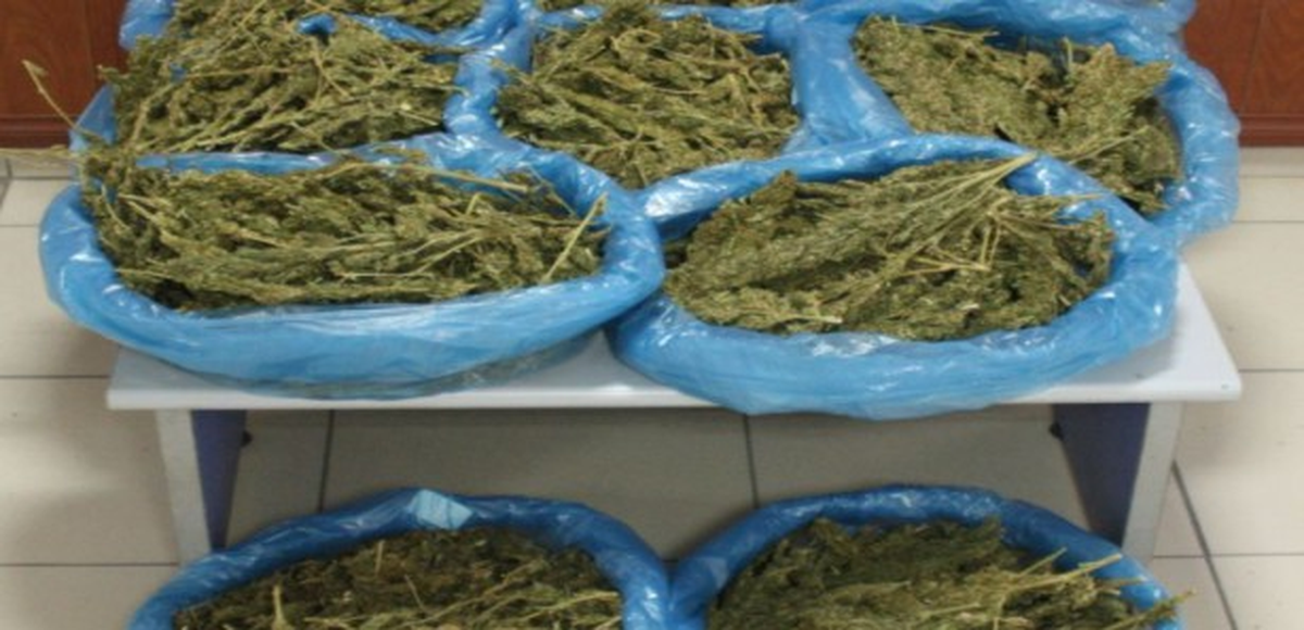 Şanlıurfa\'da 46,5 Kilo Esrara 3 Gözaltı