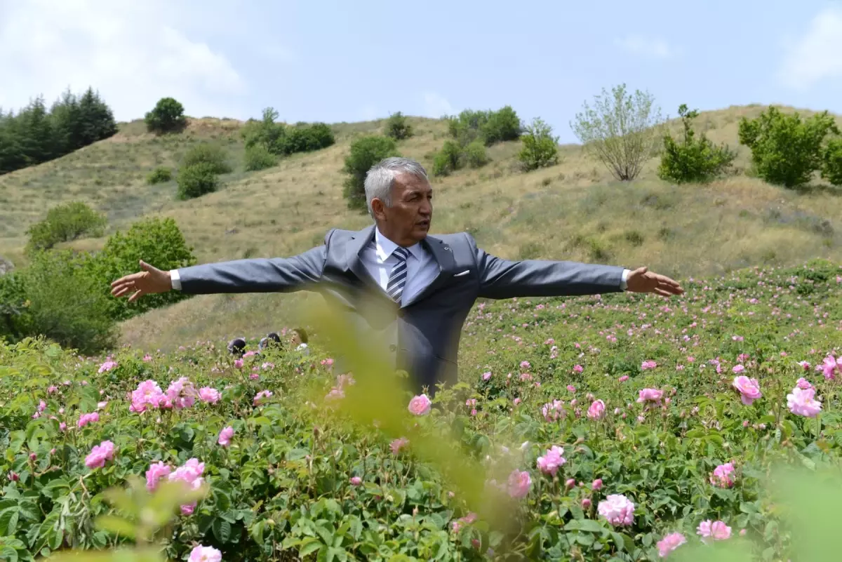 Başkan Günaydın Festivalde Gül Topladı