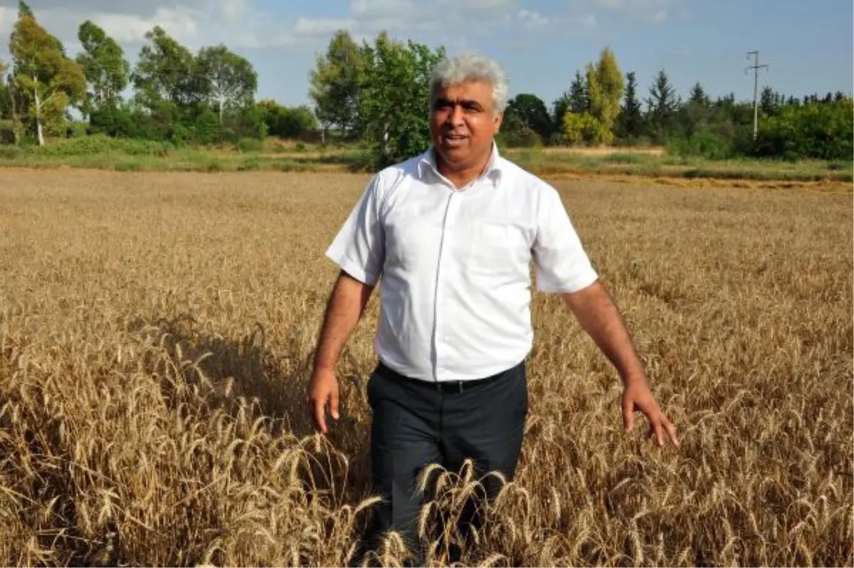 "Bu Yıl Sap ve Saman Sorunu Olmayacak"