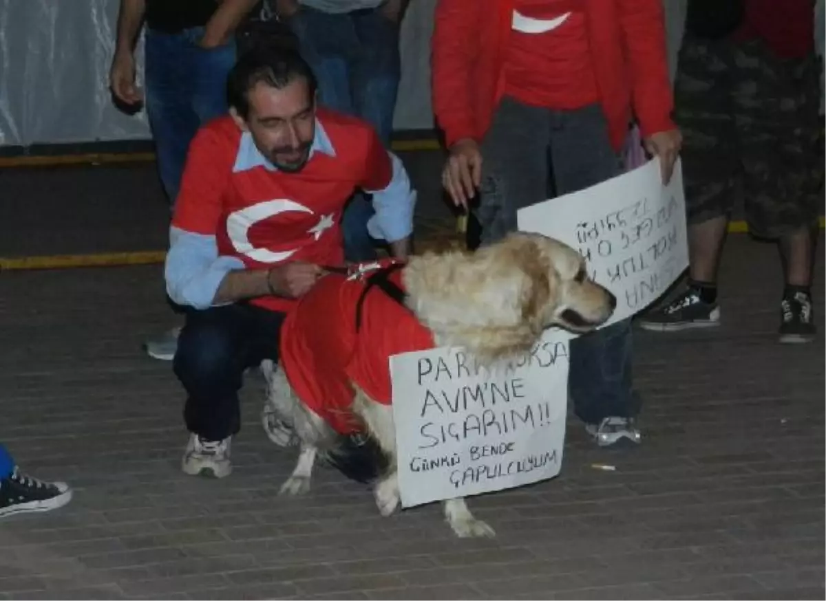 Köpeğe Türk Bayraklı Tişört