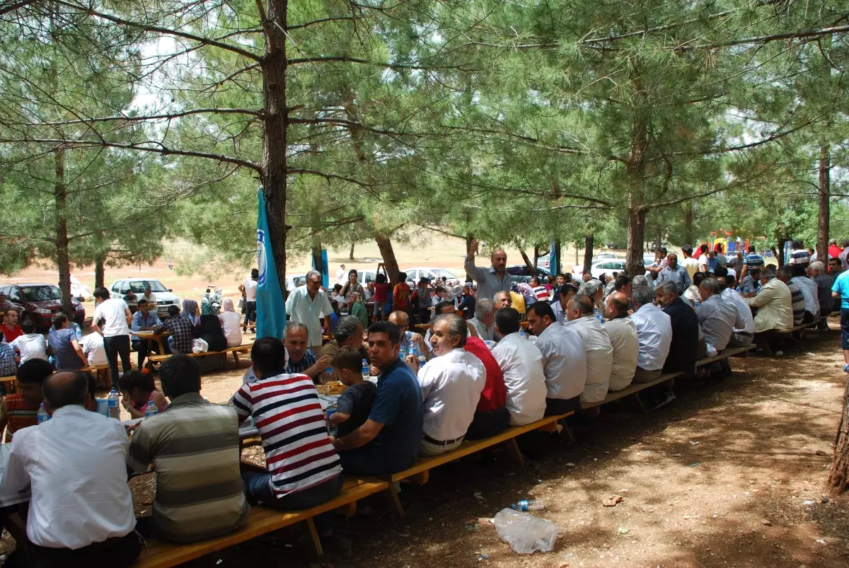 Sağlık-Sen Üyeleri Piknikte Buluştu