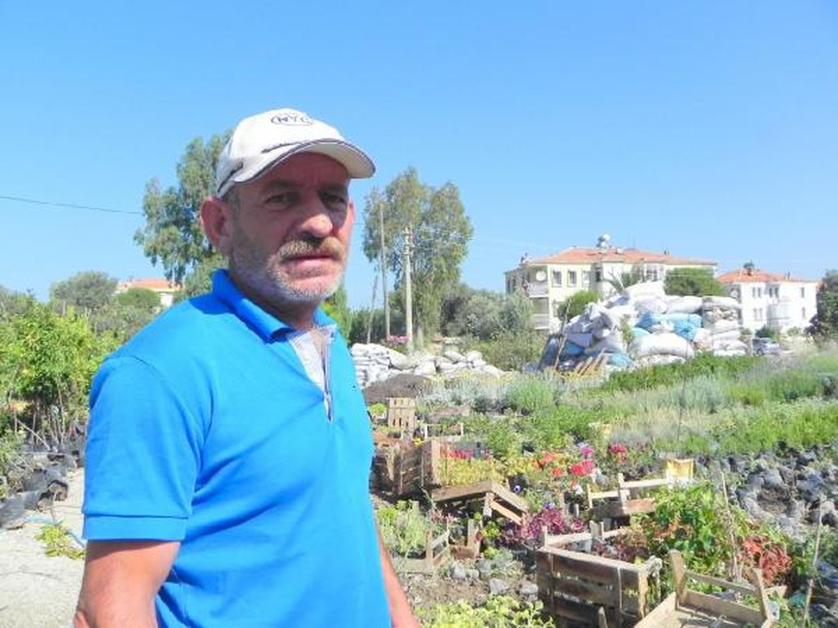 Foça\'da Yaban Domuz Çilesi