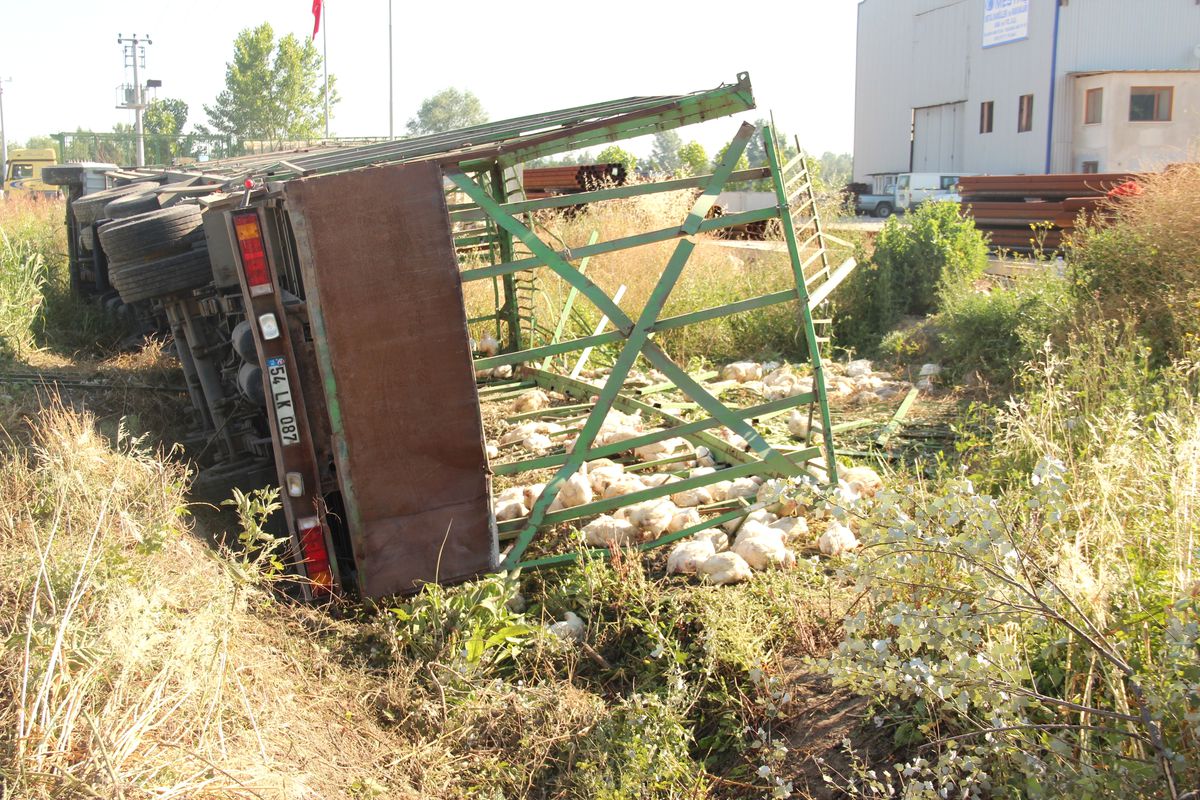 Akyazı\'da Tır Devrildi