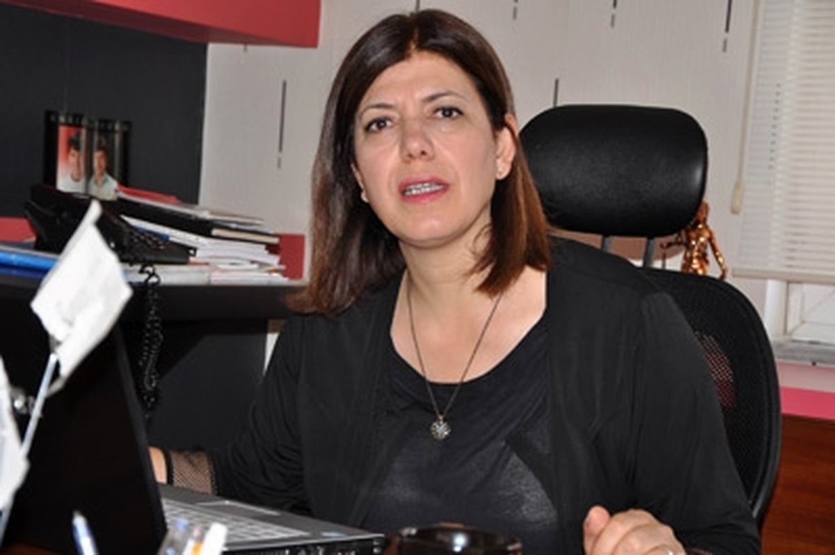 BDP: Şiddet, Şiddet Doğurmaktadır