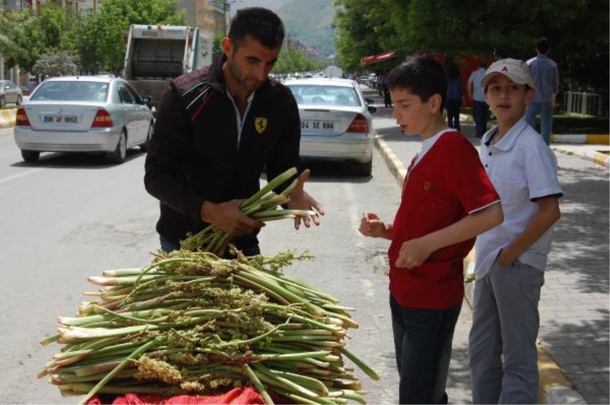 \'Doğu\'nun Muzu Uçkunun Kilosu 10 Lira