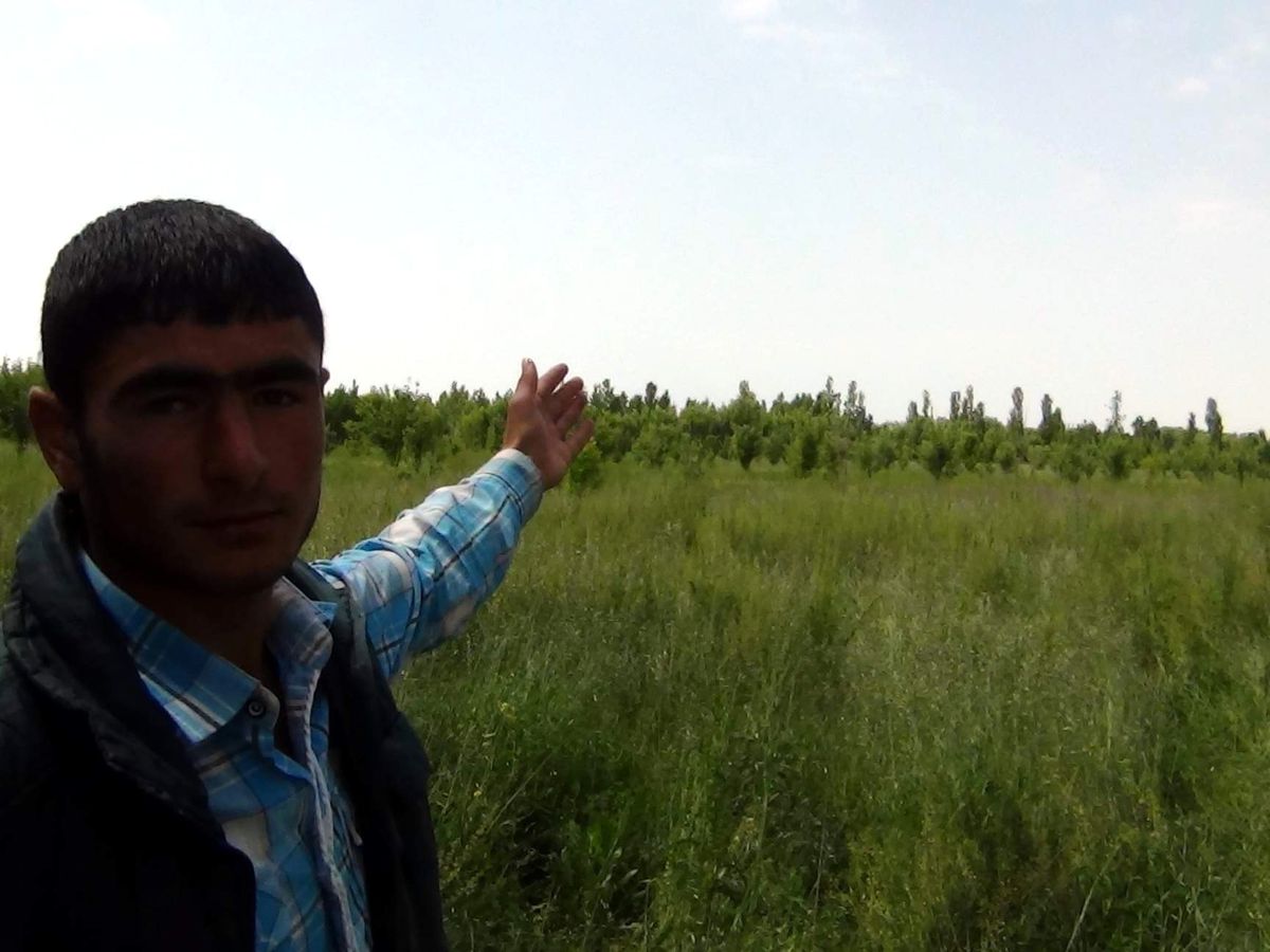 Erciş Kaymakamı Baran\'dan \'Ağaç\' Açıklaması