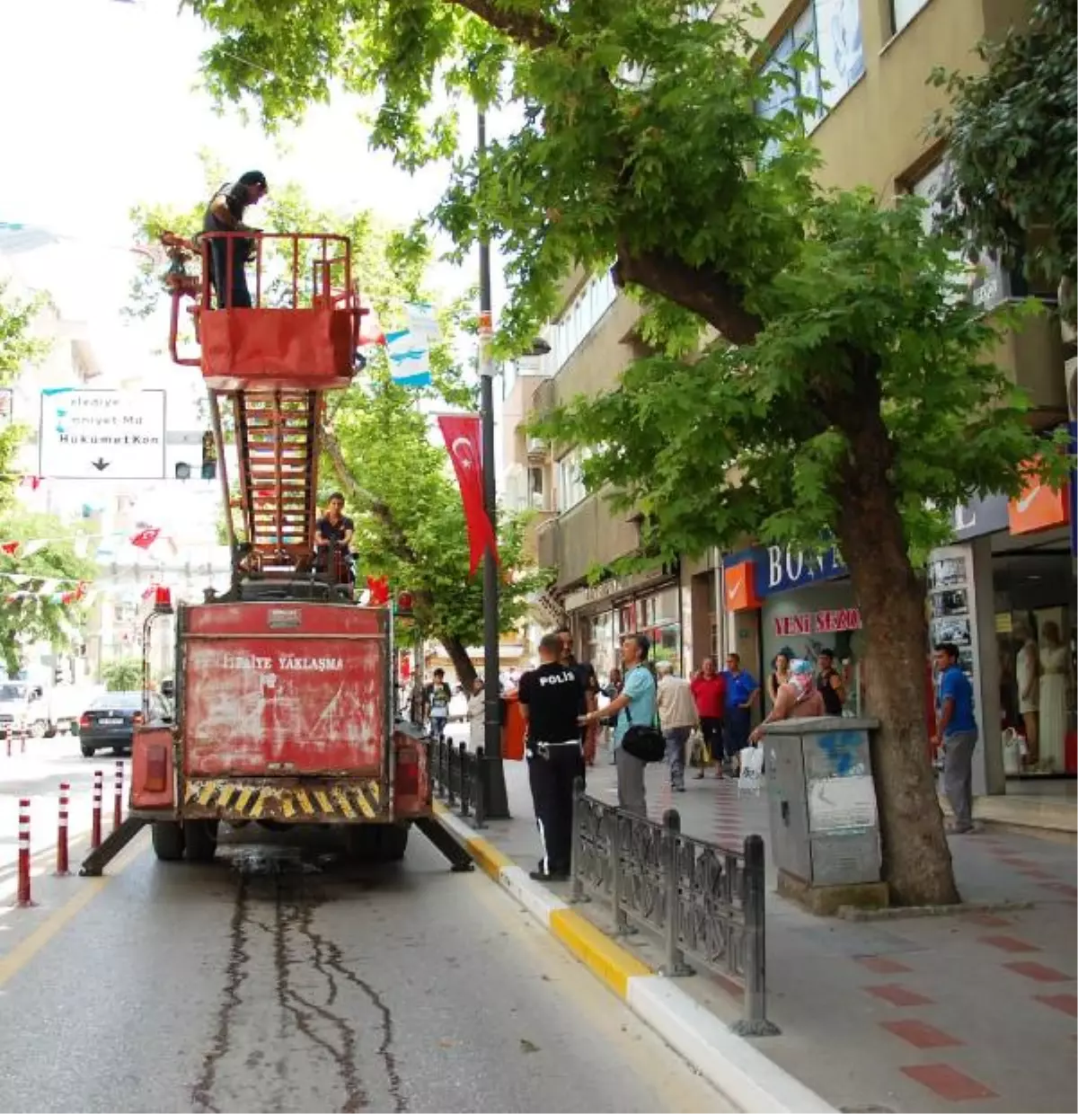 Ağaca Tırmanan Kediyi İtfaiye Kurtardı