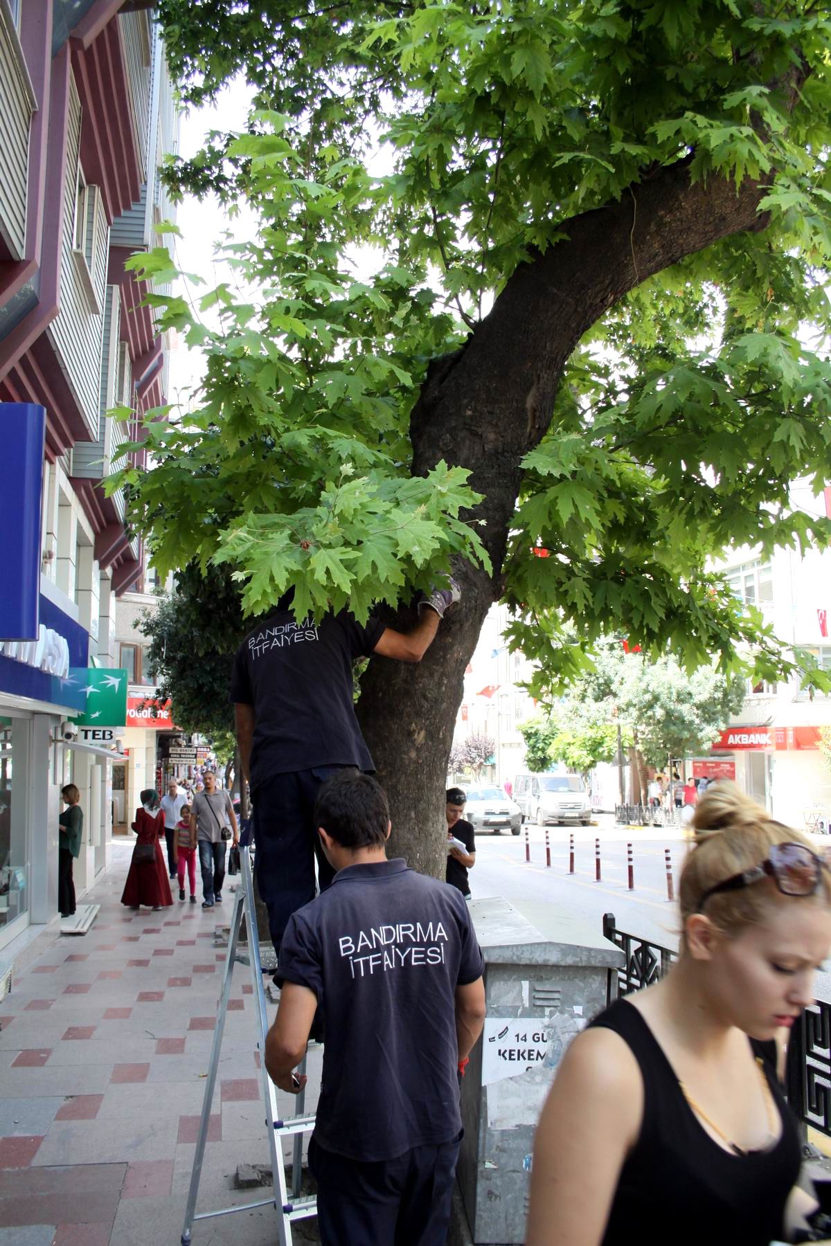 Mahsur Kalan Yavru Kediyi İtfaiye Kurtardı