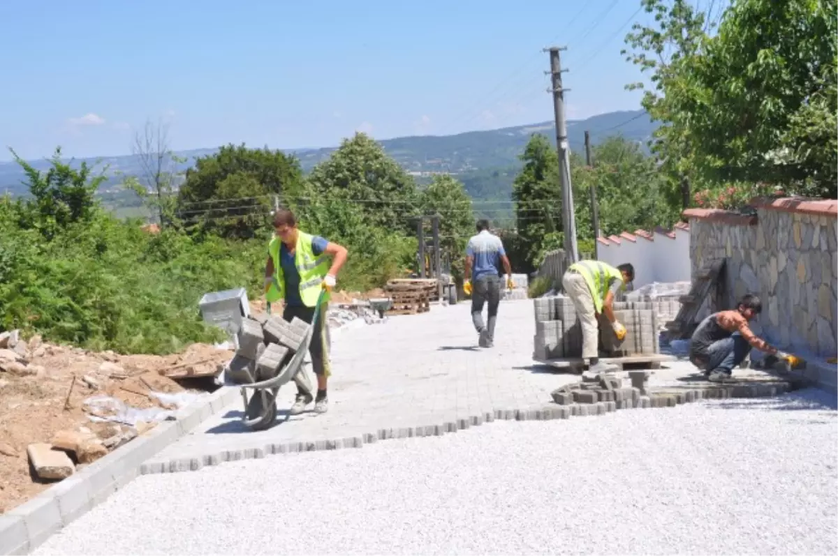 Maşukiye\'de Parke Şıklığı

