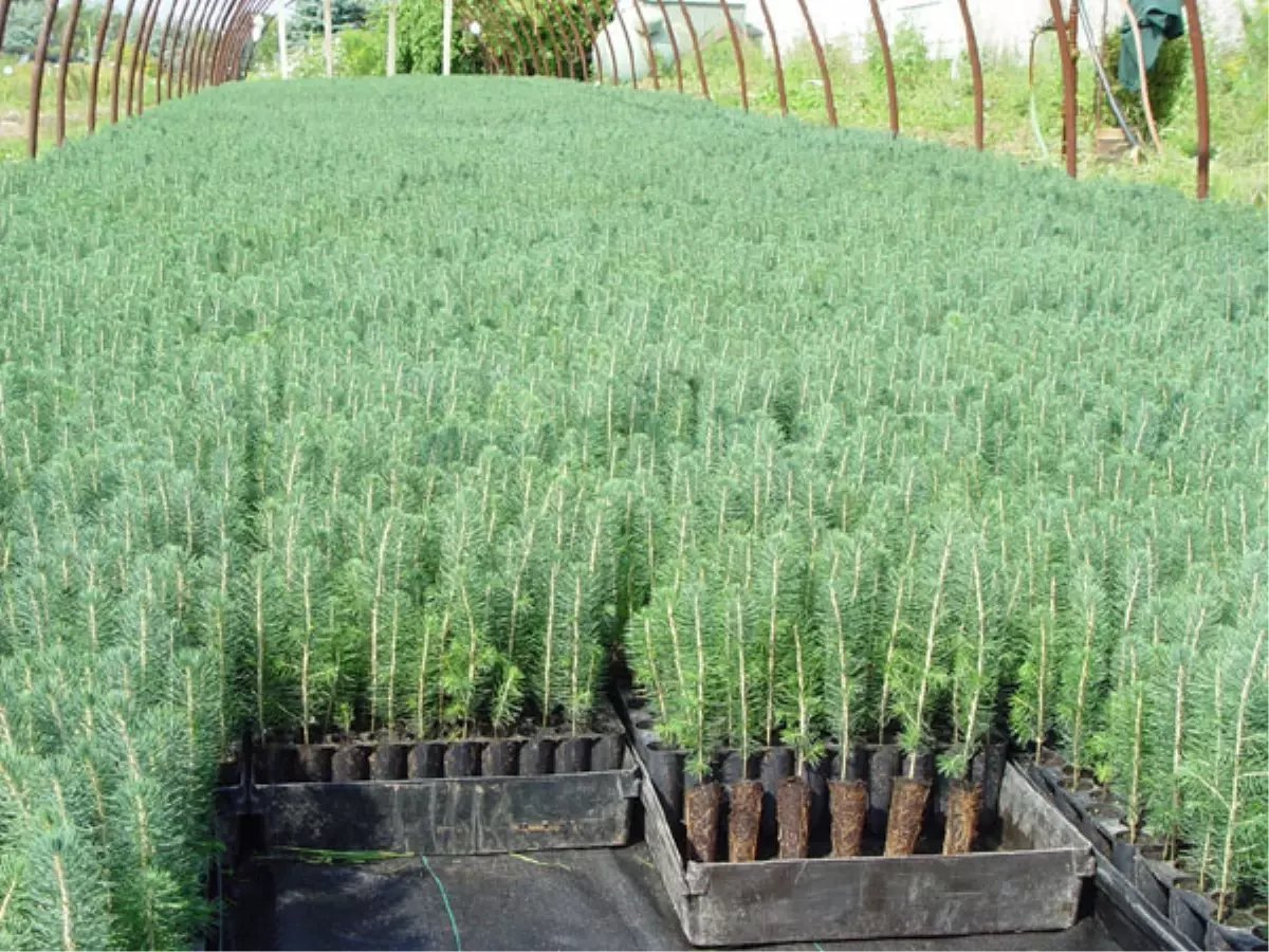 Orman ve Su İşleri Bakanlığı Açıklaması